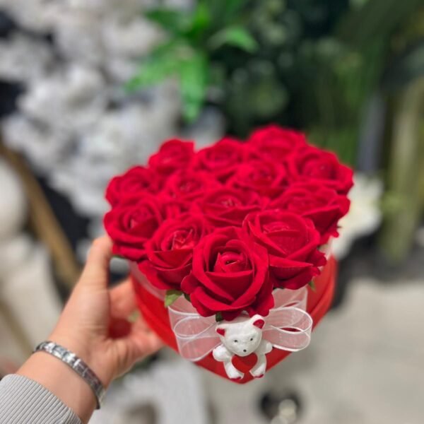 Kızıl Kalp Koleksiyonu