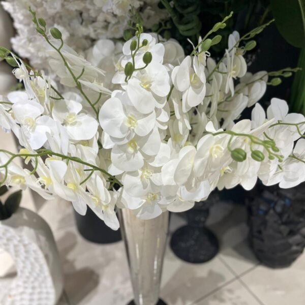 Tek Dal Islak Orkide